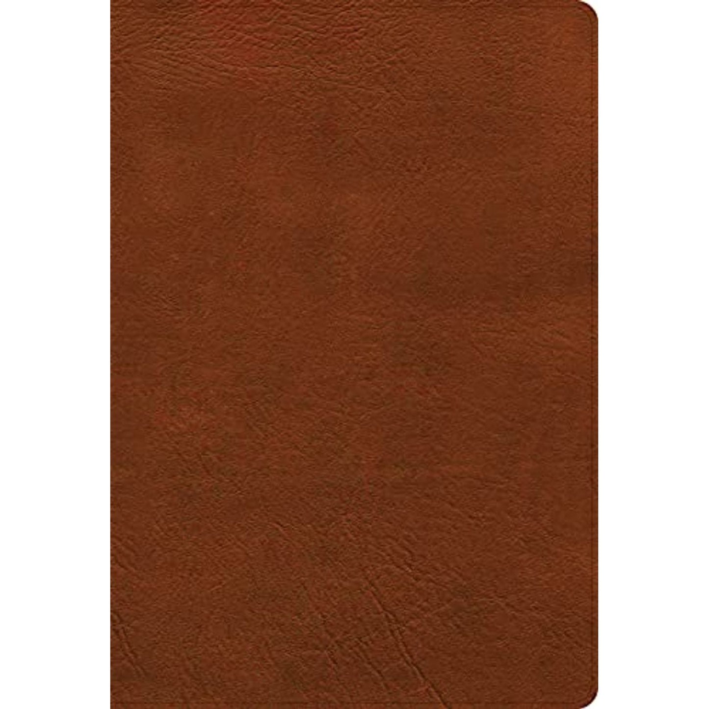 Holman NASB Super Giant Print Reference Bible Indexed