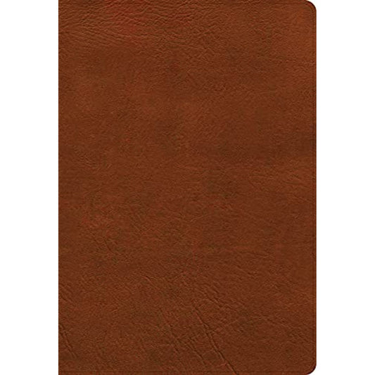 Holman NASB Super Giant Print Reference Bible Indexed