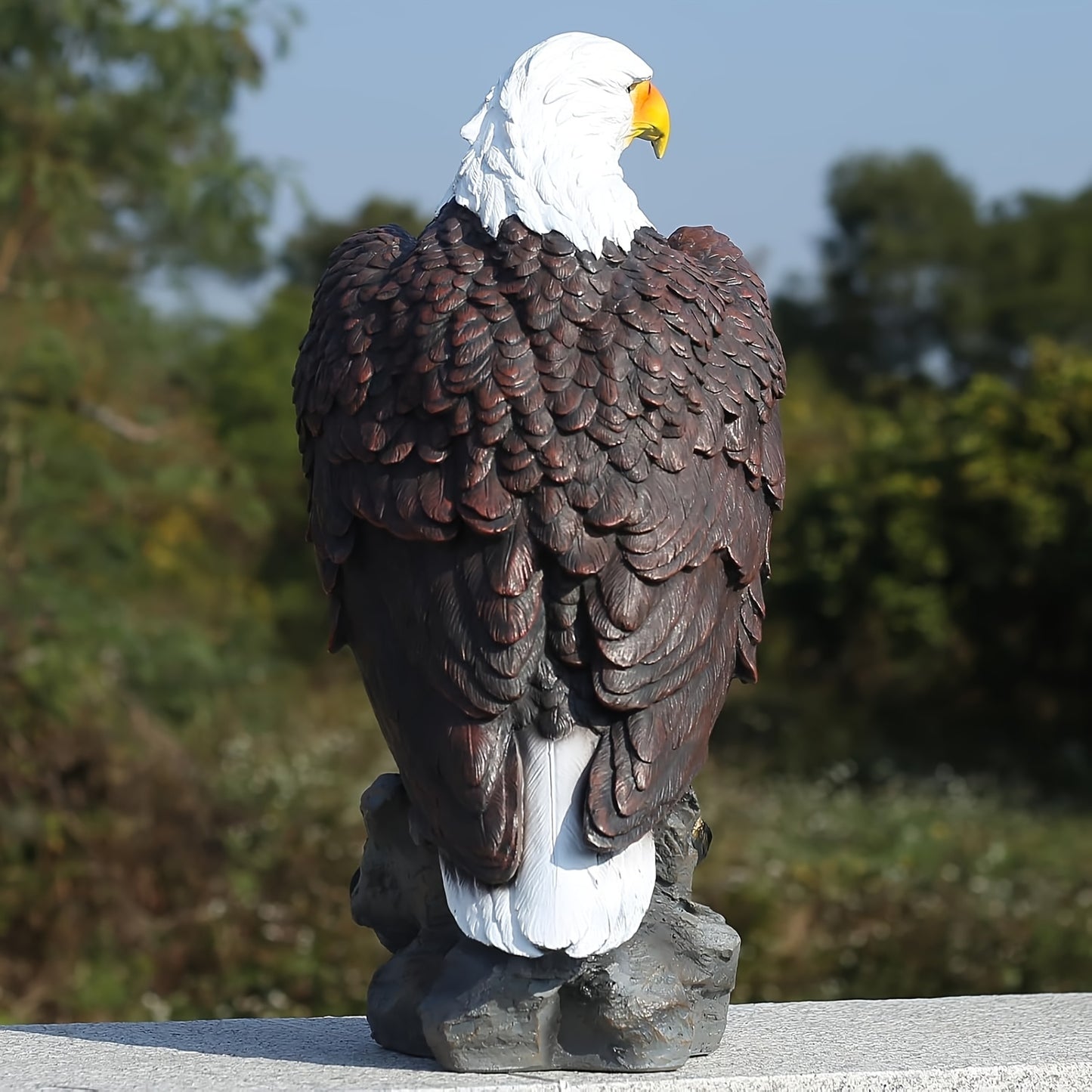 13 X 24.4 Inch Hand Drawn Bald Eagle Garden Statue