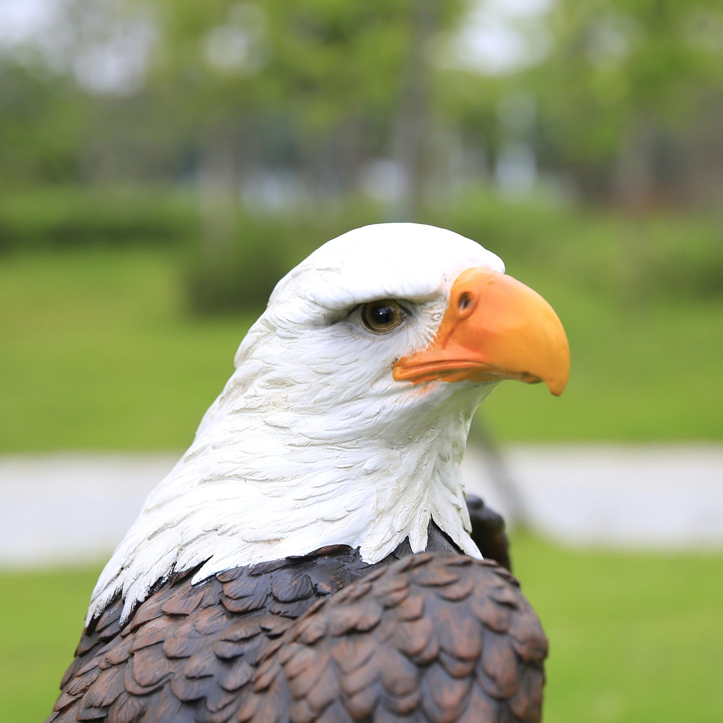 13 X 24.4 Inch Hand Drawn Bald Eagle Garden Statue