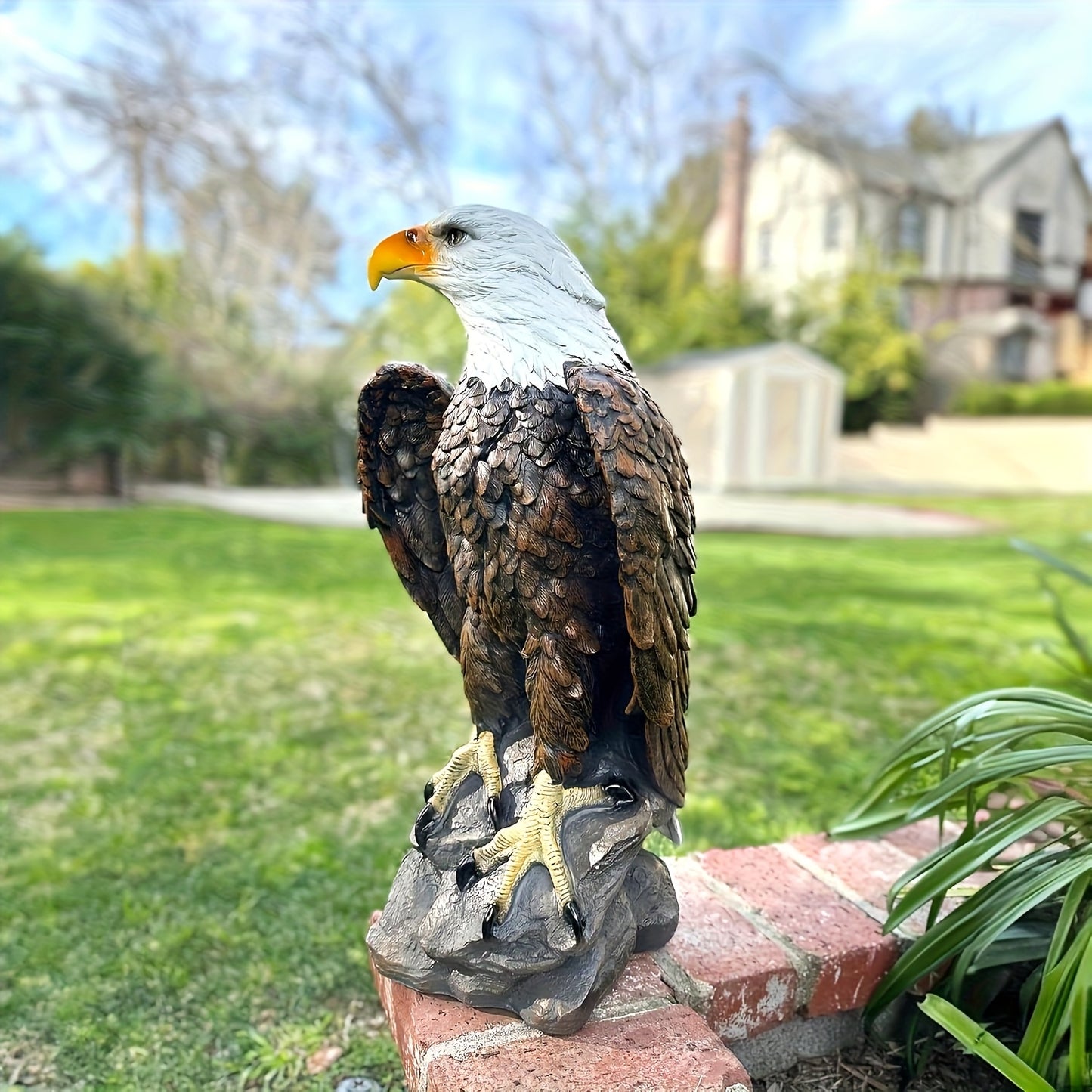 13 X 24.4 Inch Hand Drawn Bald Eagle Garden Statue